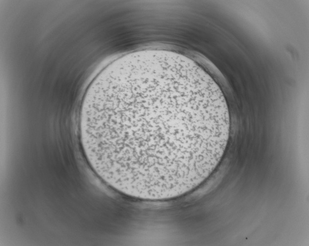 X0000113240860200910221059