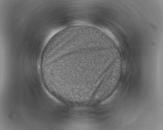 X0000113240863200910221059