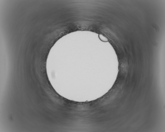 X0000113240865200910221058