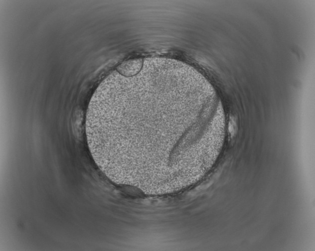 X0000113240867200910221058