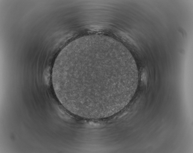 X0000113240868200910221058