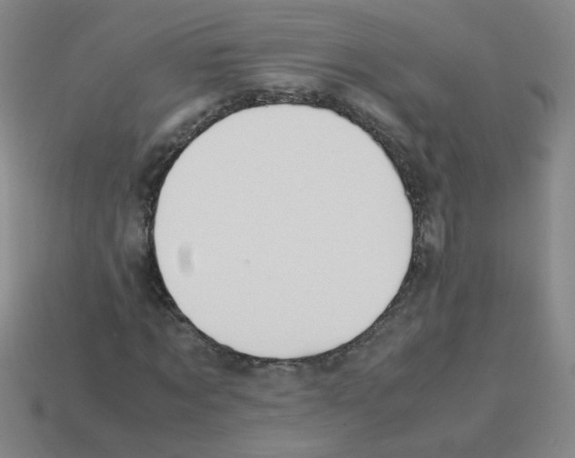 X0000113240869200910221058