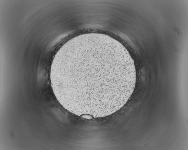 X0000113240872200910221058