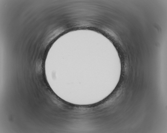 X0000113240873200910221058