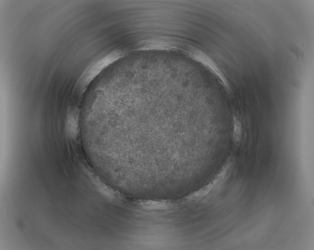 X0000113240874200910221058