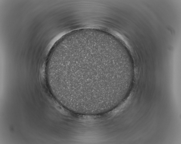 X0000113240875200910221058