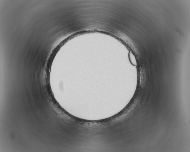 X0000113240876200910221058