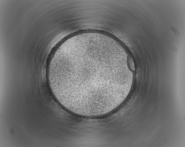 X0000113240877200910221058