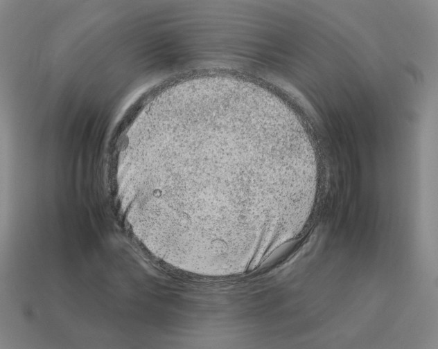 X0000113240878200910221058