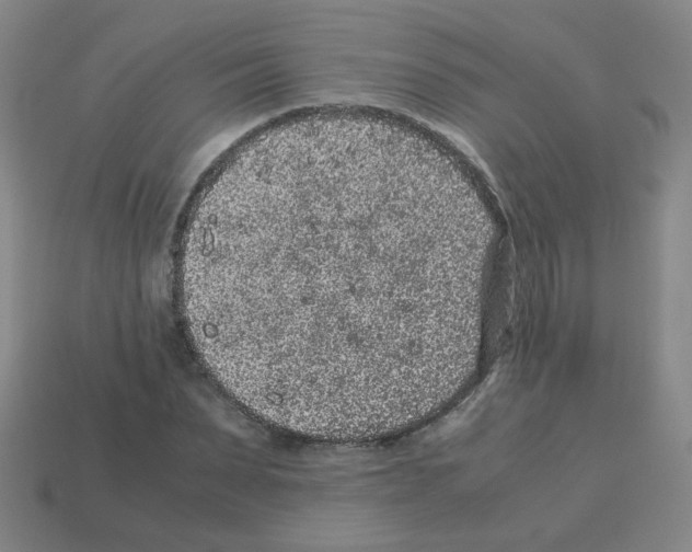 X0000113240879200910221058
