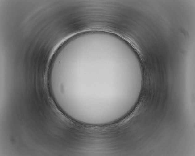 X0000113240880200910221058