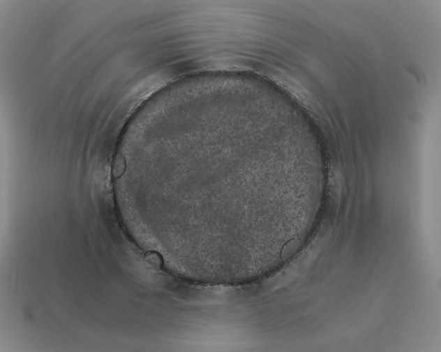 X0000113240881200910221058