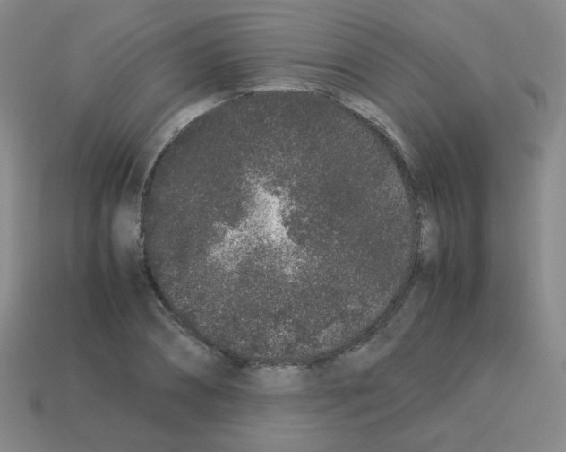 X0000113240882200910221058