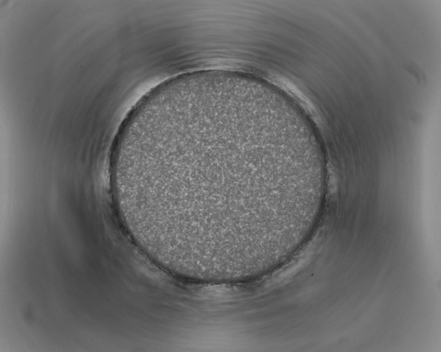 X0000113240883200910221058