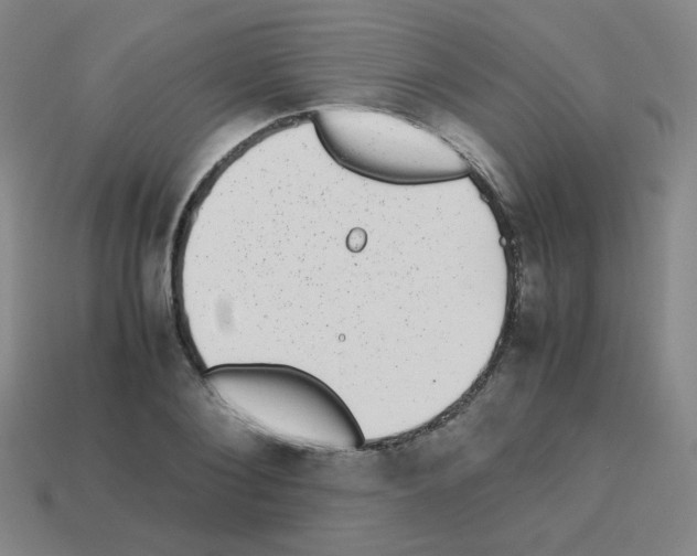 X0000113240884200910221058