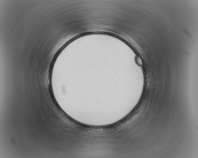 X0000113240885200910221058