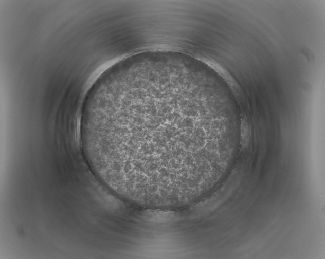 X0000113240886200910221058