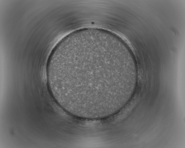 X0000113240887200910221058