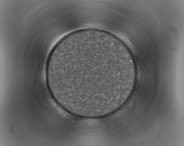 X0000113240888200910221058