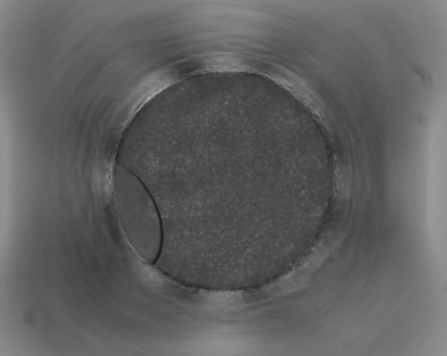 X0000113240889200910221058