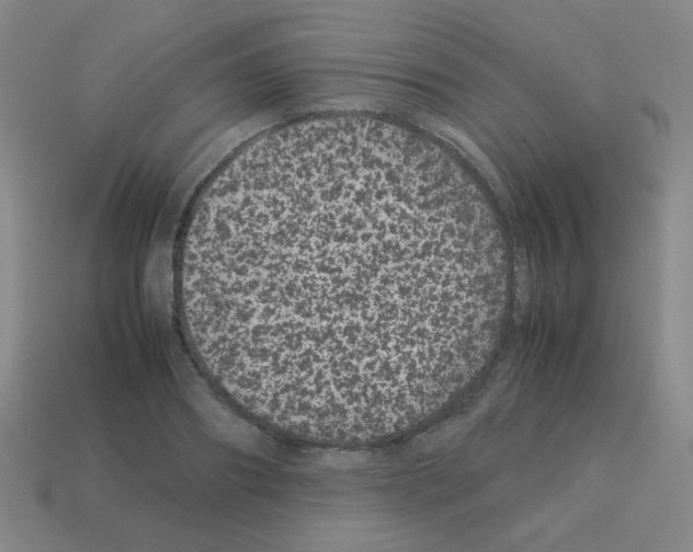X0000113240890200910221058
