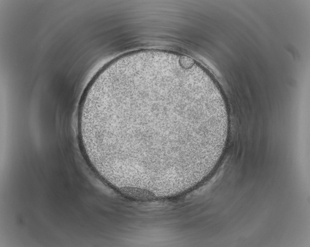 X0000113240891200910221058