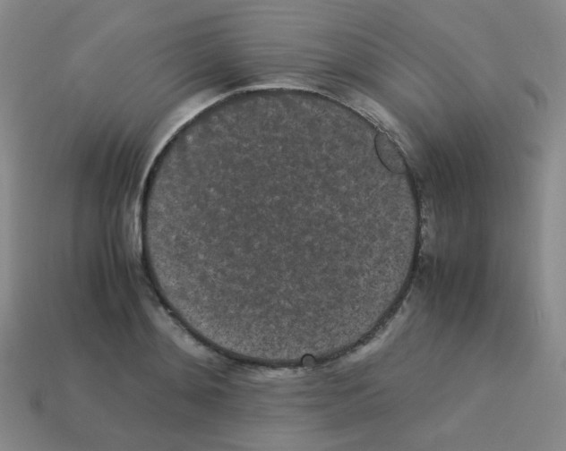 X0000113240892200910221058