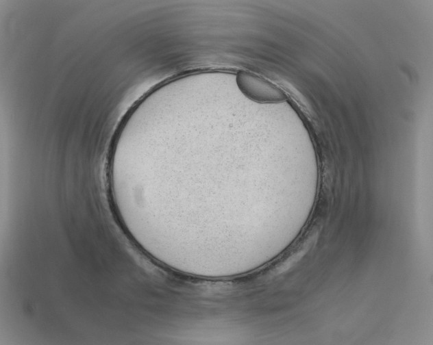 X0000113240893200910221058