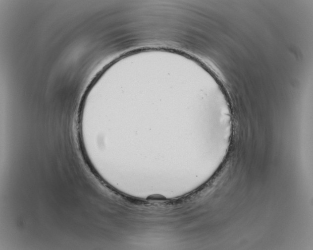 X0000113240895200910221058