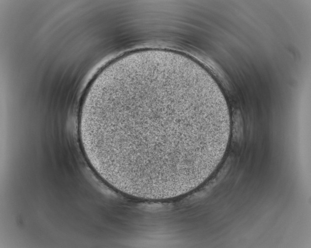 X0000113240896200910221058