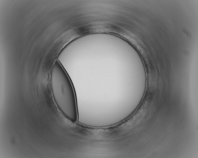 X0000113240897200910221058