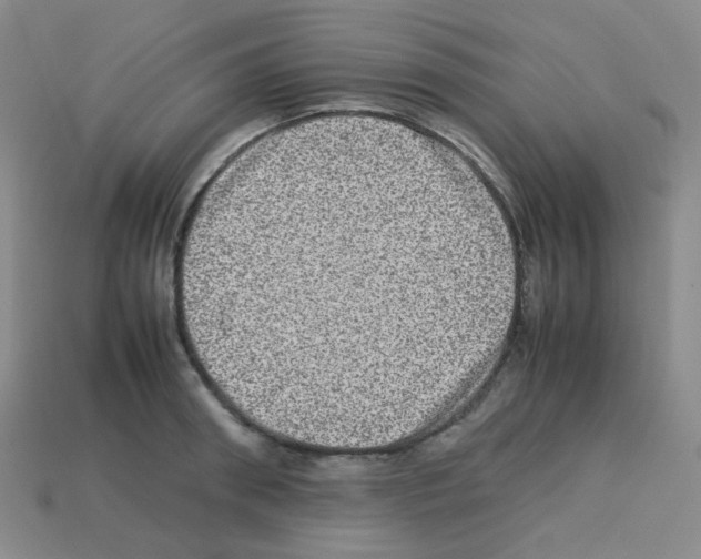 X0000113240898200910221058