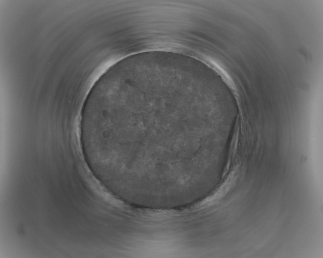 X0000113240899200910221058