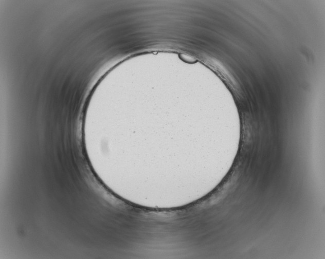 X0000113240900200910221058