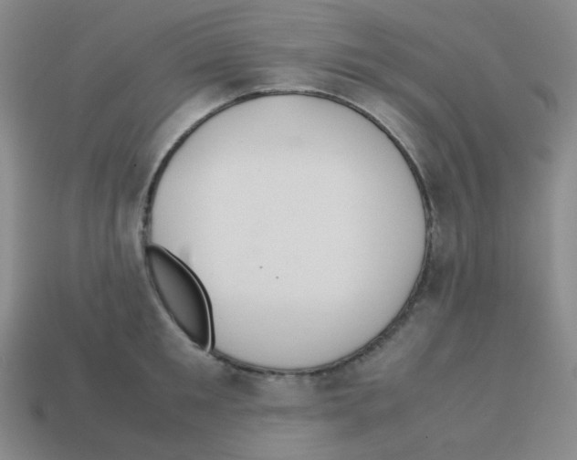 X0000113240901200910221058