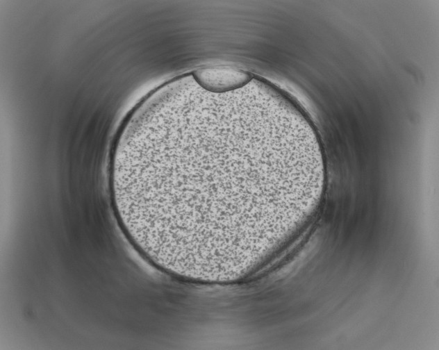 X0000113240902200910221058