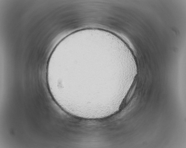 X0000113240903200910221058