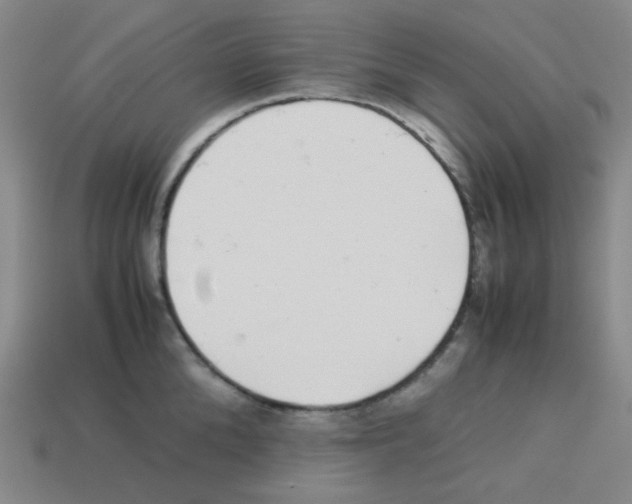 X0000113240904200910221058