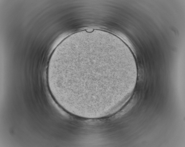 X0000113240906200910221058