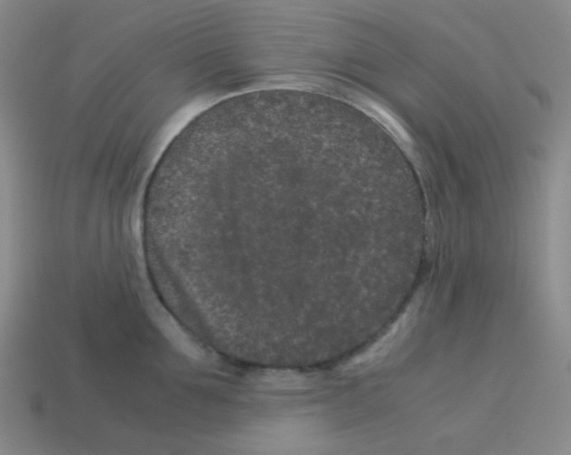X0000113240907200910221058