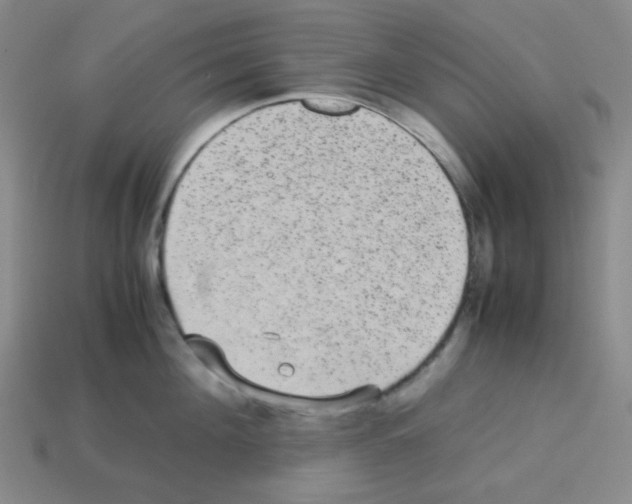 X0000113240908200910221058