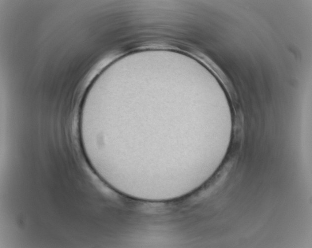 X0000113240909200910221058