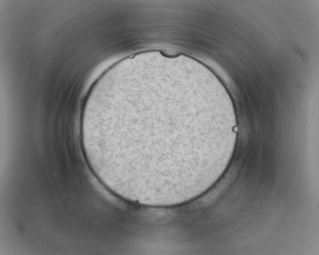 X0000113240910200910221058
