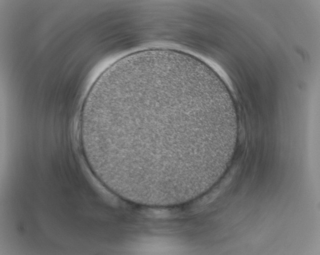 X0000113240911200910221058