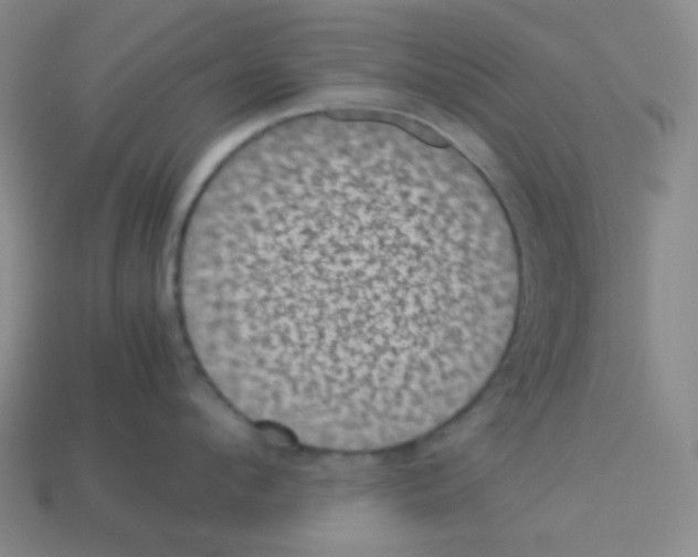 X0000113240912200910221058