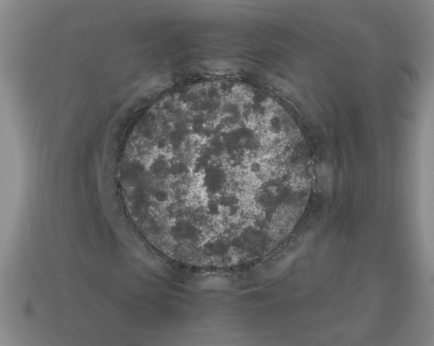 X0000113240913200910221057
