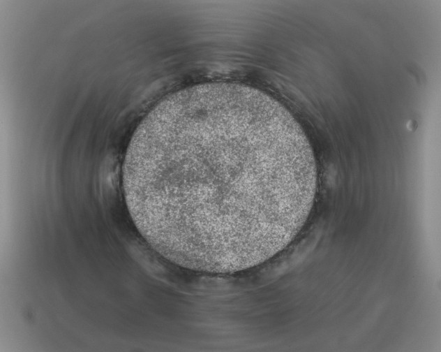 X0000113240914200910221057