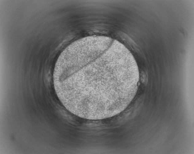 X0000113240915200910221057