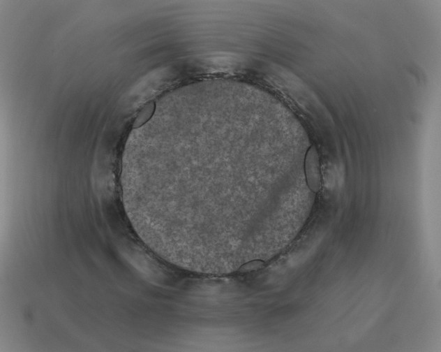 X0000113240916200910221057