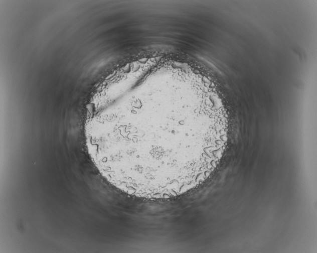 X0000113240917200910221057